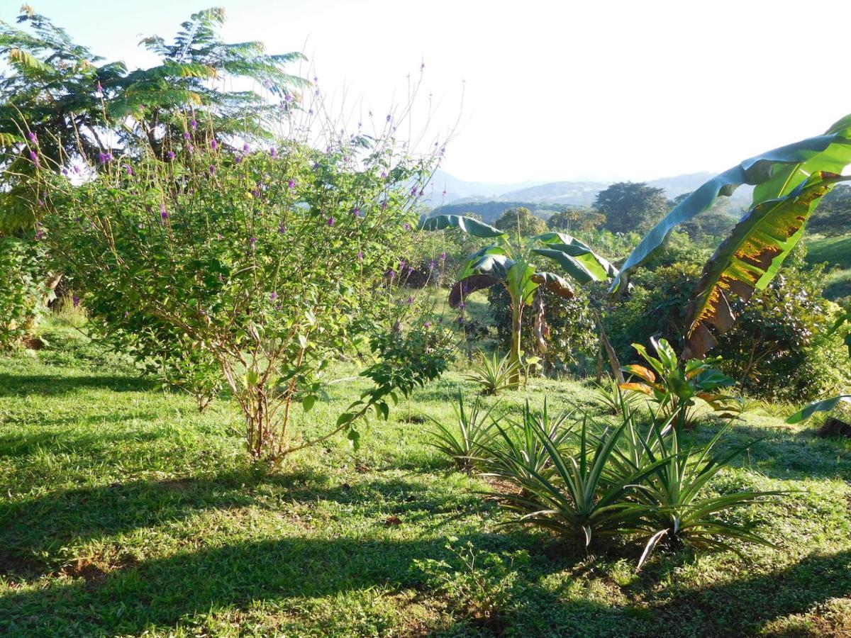 Hostal Casa Las Lajas ลาสลาคัส ภายนอก รูปภาพ