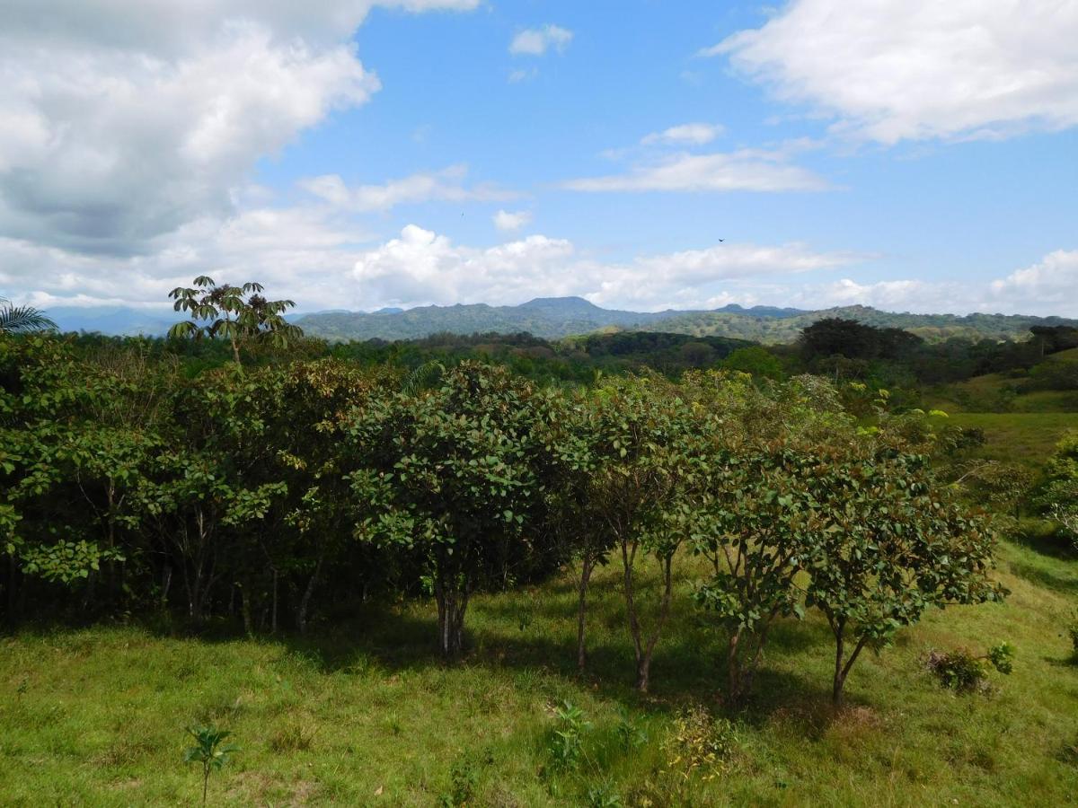 Hostal Casa Las Lajas ลาสลาคัส ภายนอก รูปภาพ