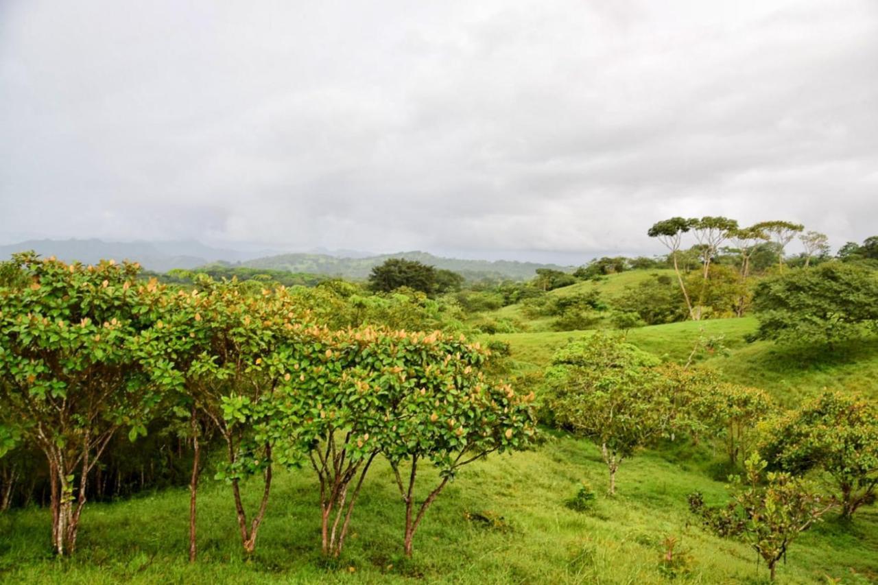 Hostal Casa Las Lajas ลาสลาคัส ภายนอก รูปภาพ
