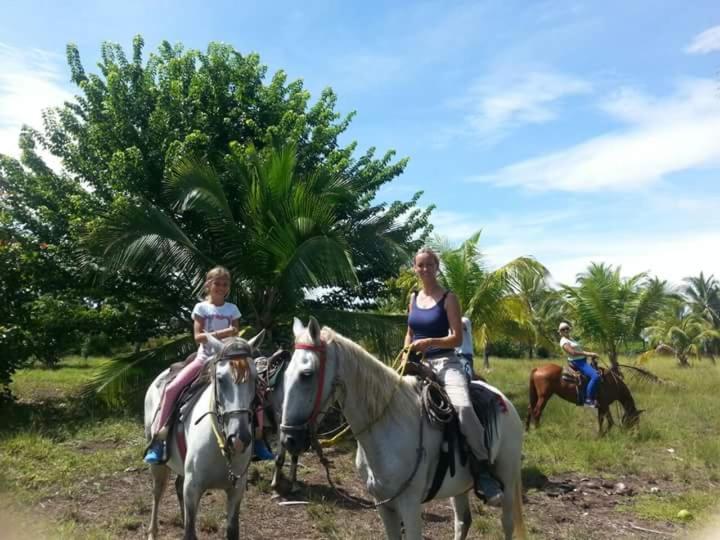 Hostal Casa Las Lajas ลาสลาคัส ภายนอก รูปภาพ