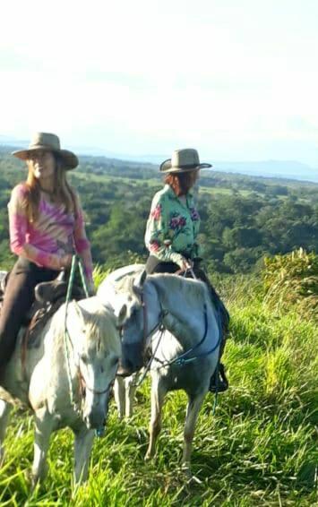 Hostal Casa Las Lajas ลาสลาคัส ภายนอก รูปภาพ